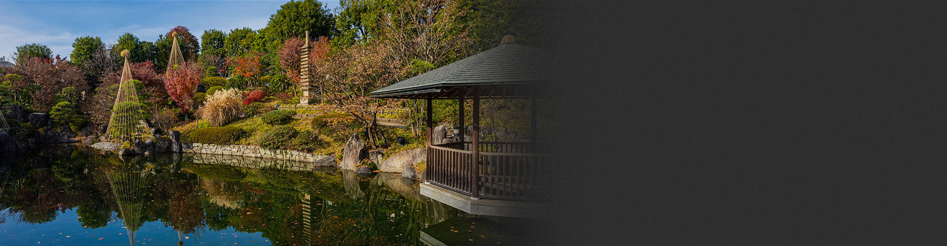 画像:Feel Local Life