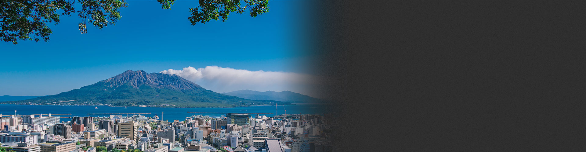 画像:Feel Local Life