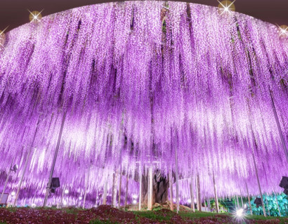 栃木旅行の拠点