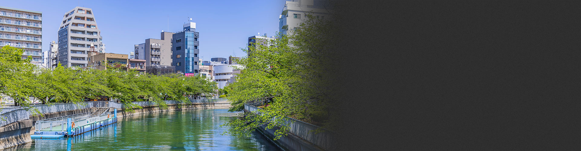 画像:Feel Local Life