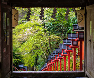 画像:魅力体験イメージ