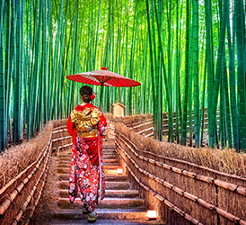 画像:魅力体験イメージ