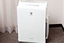 画像:花粉症にも、風邪予防にもバッチリ【加湿器兼空気清浄機】